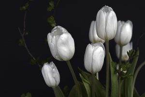 علائم سوگواری